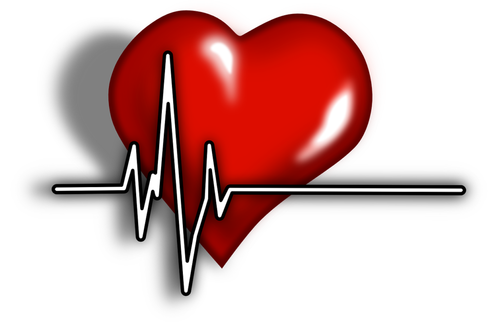 cardiac, pulse, systole-156059.jpg