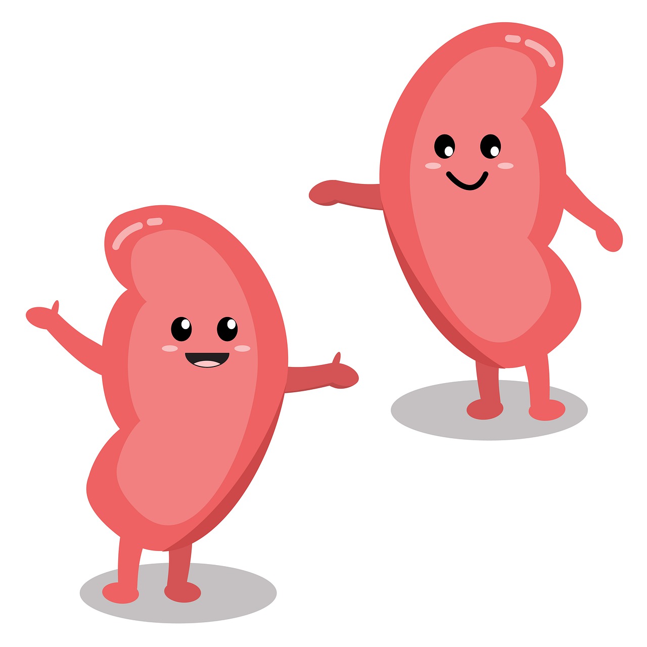 kidney, health, smile-6009357.jpg