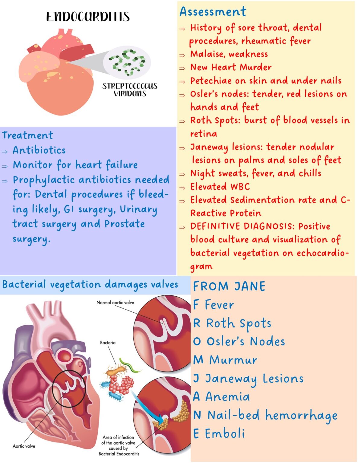 Endocarditis T Endocarditis Serosa _ Endokarditis: Ursachen, Formen & Behandlung – IRYZ