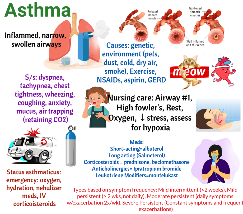 Asthma – Illustrated Nursing